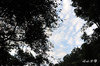 DSC_8597.jpg