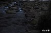 DSC_8626.jpg