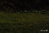 DSC_8678_2.jpg
