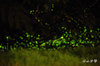 DSC_8681.jpg