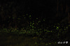 DSC_8696_3.jpg