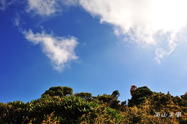 合歡山（14）合歡東峰