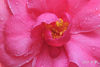 DSC_5757.jpg