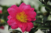 DSC_5701.jpg