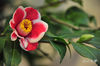 DSC_5682.jpg
