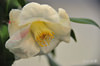 DSC_5651.jpg