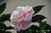 DSC_5741.jpg