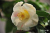 DSC_5714.jpg