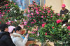 DSC_5661.jpg