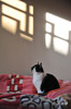 DSC_5889.jpg