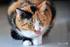 DSC_5831.jpg