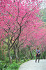 DSC_8073.jpg