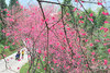 DSC_8107.jpg