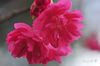 DSC_8160.jpg