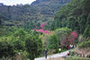 DSC_8219.jpg