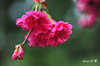 DSC_8170.jpg