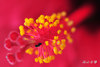 DSC_8215.jpg