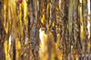 DSC_3610.jpg