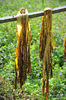 DSC_3586.jpg