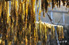 DSC_3559.jpg