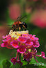 DSC_5532.jpg