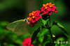 DSC_5357.jpg