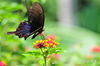 DSC_5351.jpg