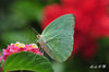 DSC_5525.jpg