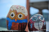 03DSC_9722.jpg