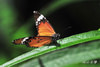 DSC_5072.jpg