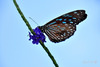 DSC_9674.jpg