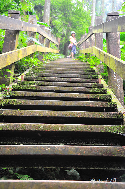 五指山橫向步道（一）