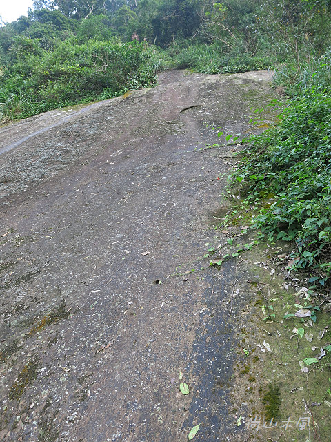 五指山橫向步道（二）
