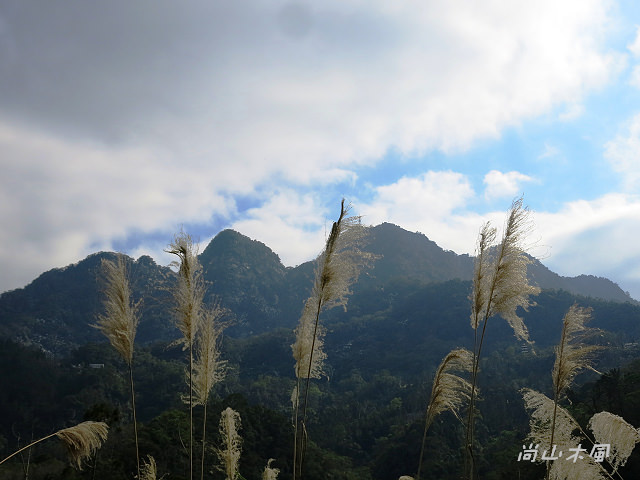 五指山橫向步道（一）