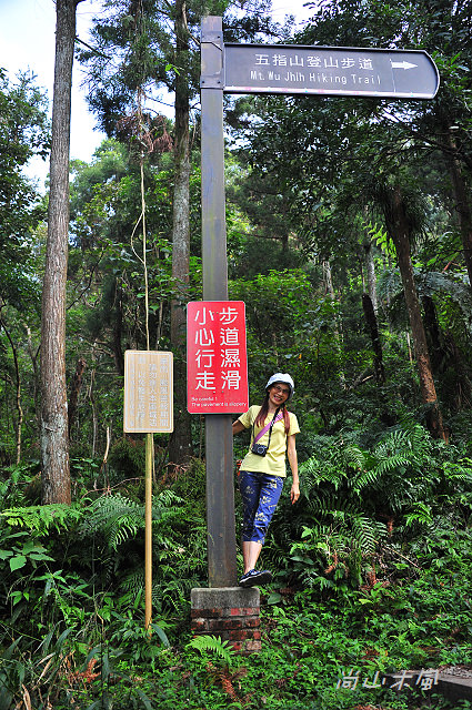 五指山橫向步道（二）