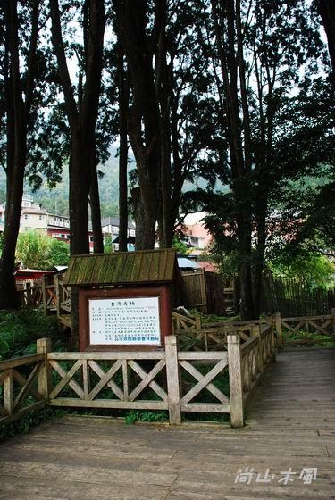 賞櫻到阿里山（三）漫晃在奮起湖