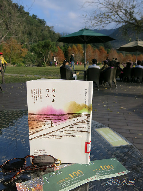 雲水度假森林 落羽松
