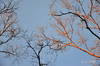 AAA_4932.jpg