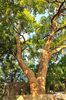 AAA_4817.jpg