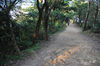 AAA_4890.jpg
