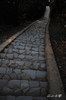 AAA_4940.jpg