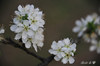 DSC_5327.jpg