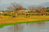 DSC_5285.jpg