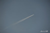 DSC_5282.jpg
