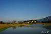 DSC_5288.jpg