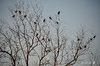DSC_5320.jpg