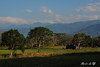 DSC_5226.jpg