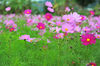 AAA_3967.jpg