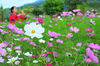 AAA_3942.jpg
