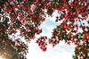 AAA_3996.jpg